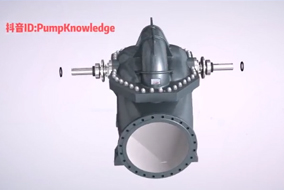 雙吸中開(kāi)泵組裝安裝部件